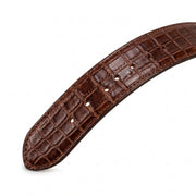 Premium Brown Crocodile Leather Belt – Gold Buckle